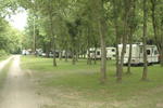 Hocking River RV Park - Cabins in Hocking